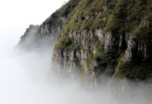 茶水煮饭四大绝妙用途